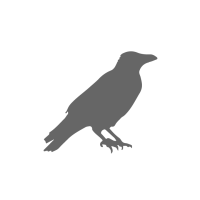 Click Here for Ravens Nest News